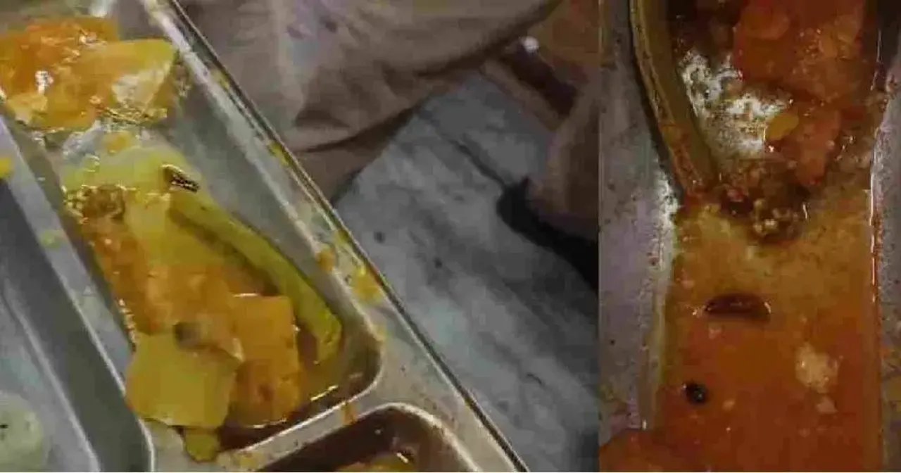 puzhu