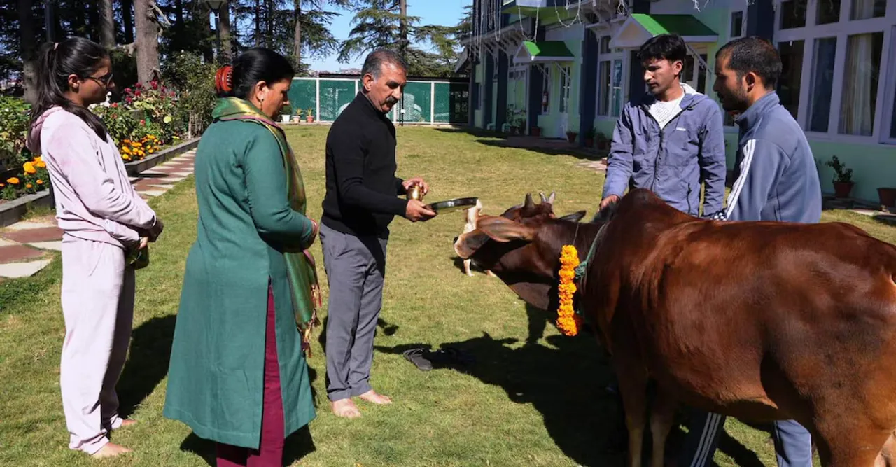 cow-pooja