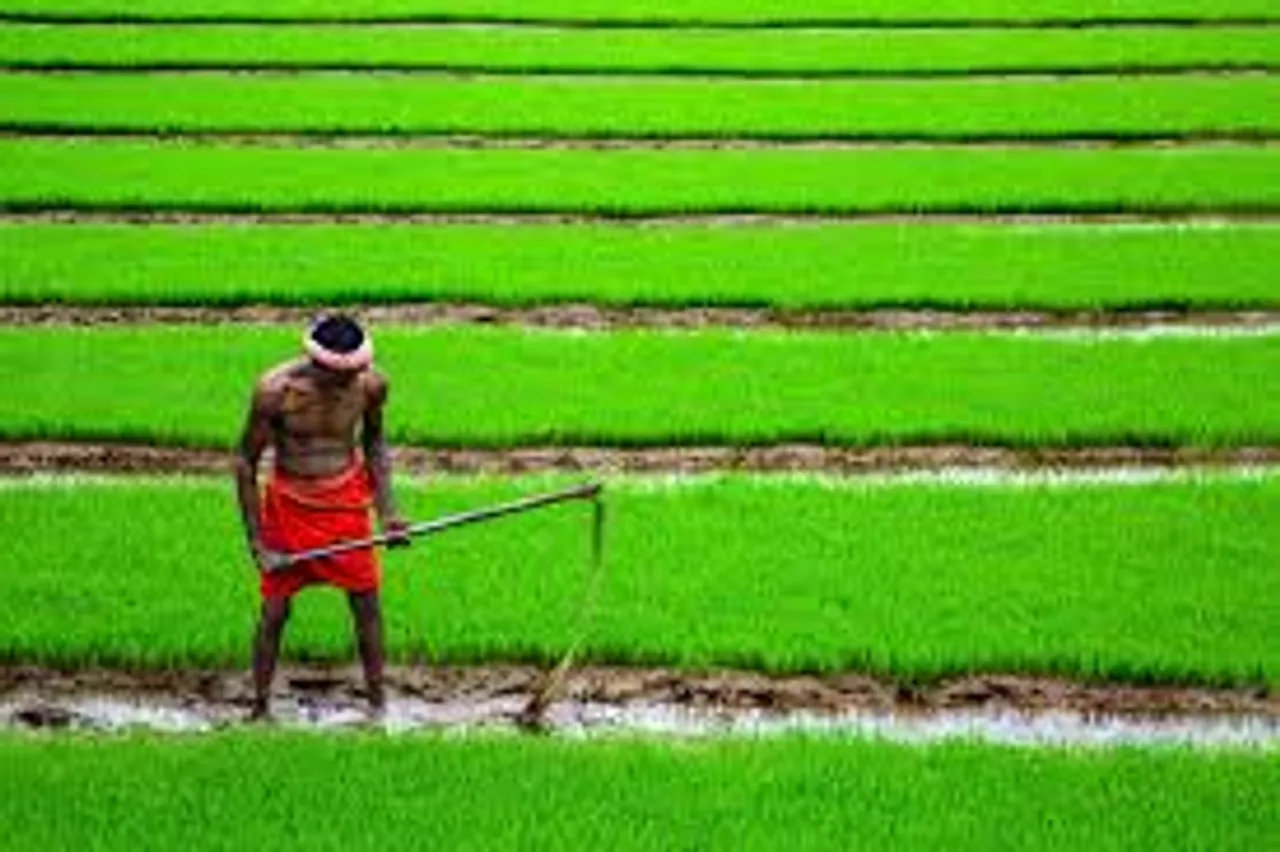 agriculture