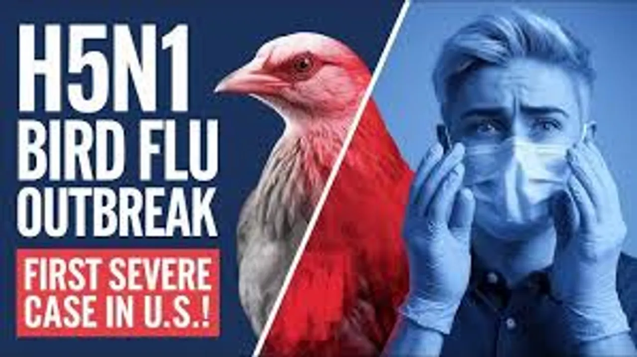 bird flu