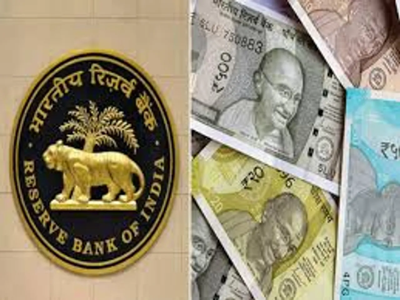 rbi divident