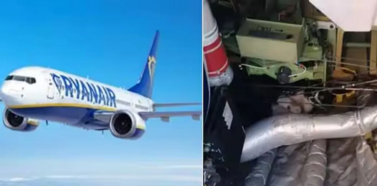 cat and flight