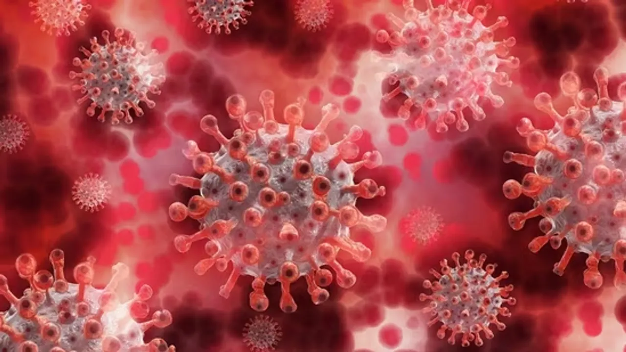 NIPHA VIRUS