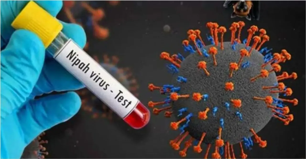 NIPHA VIRUS TODAY