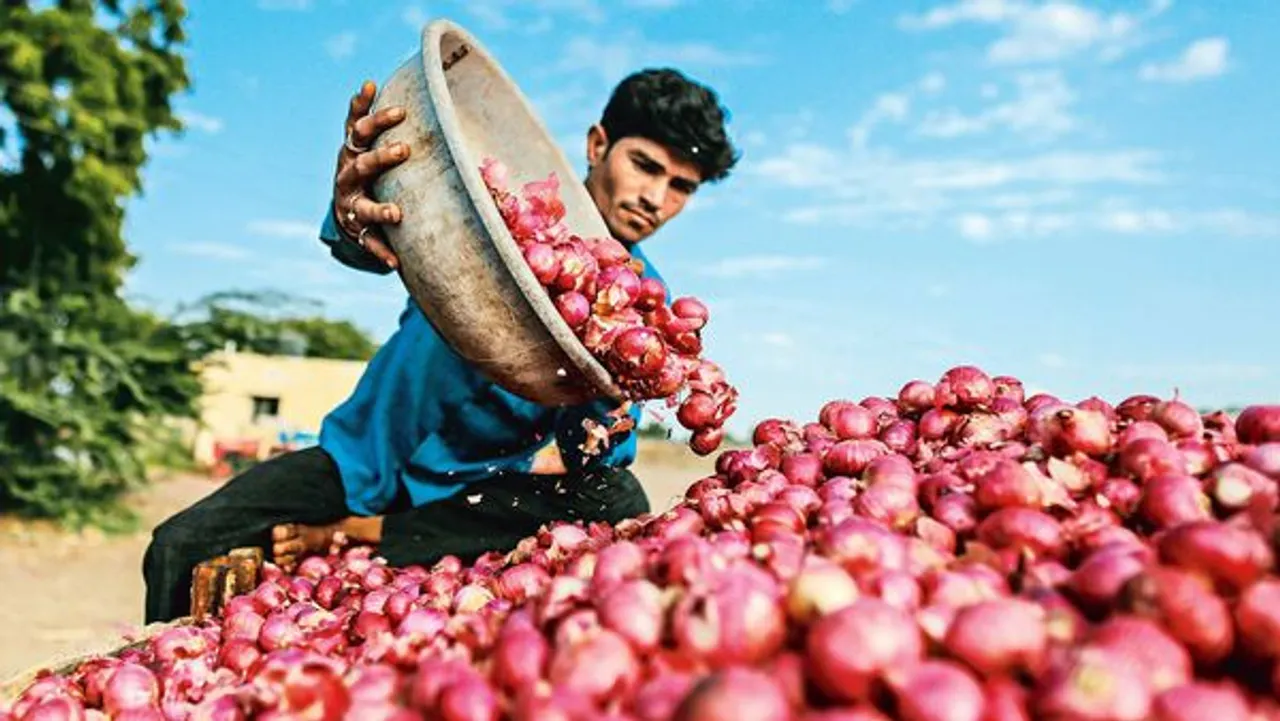 onion