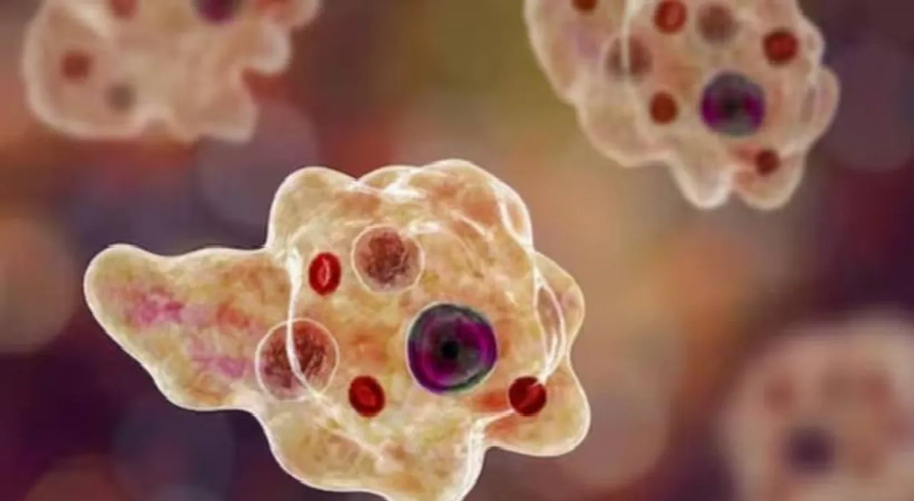 Amoebic-meningoencephalitis-reported-in-three-Malabar-districts