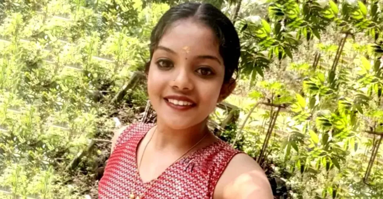 pulpally