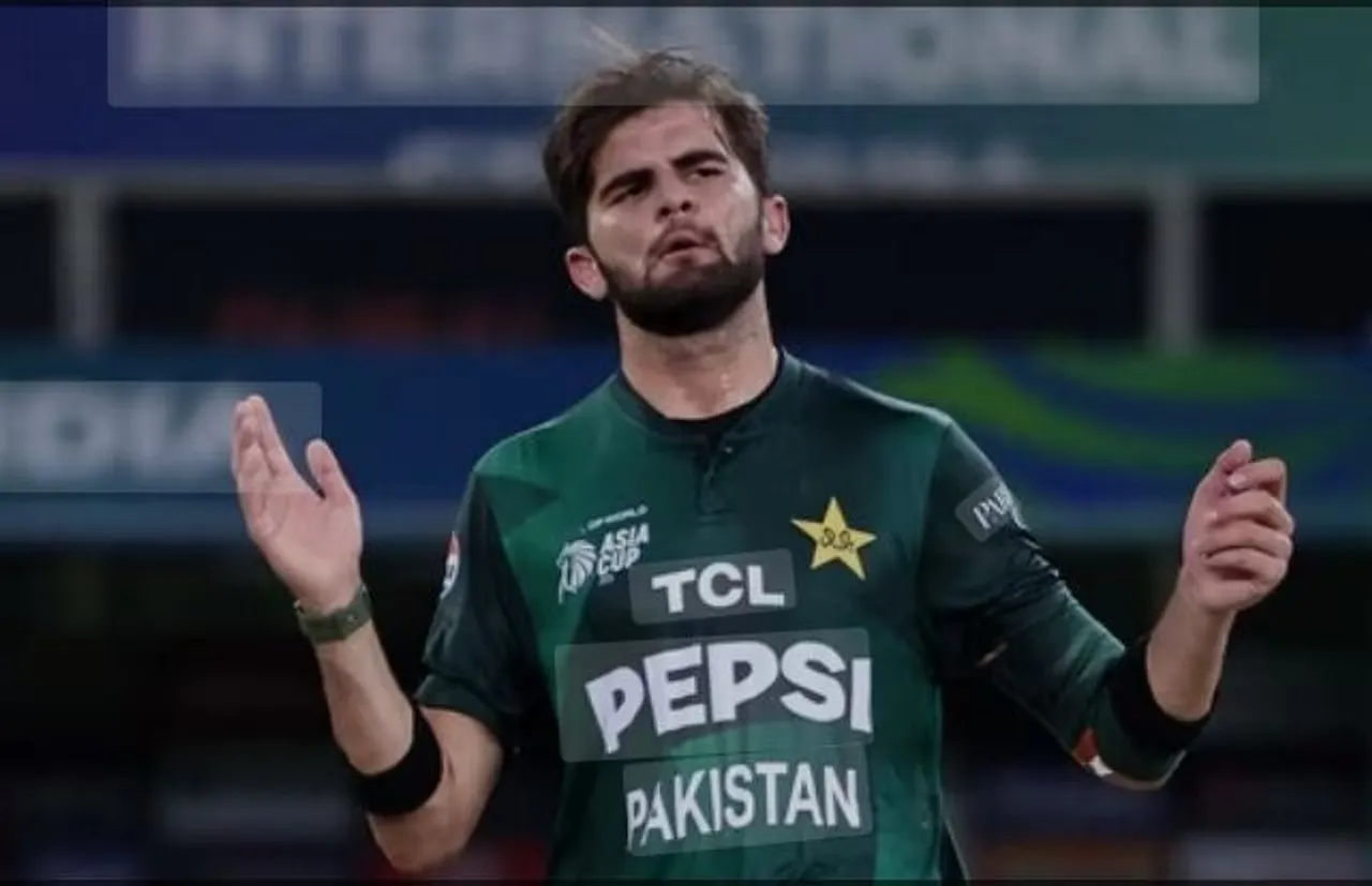 shaheen