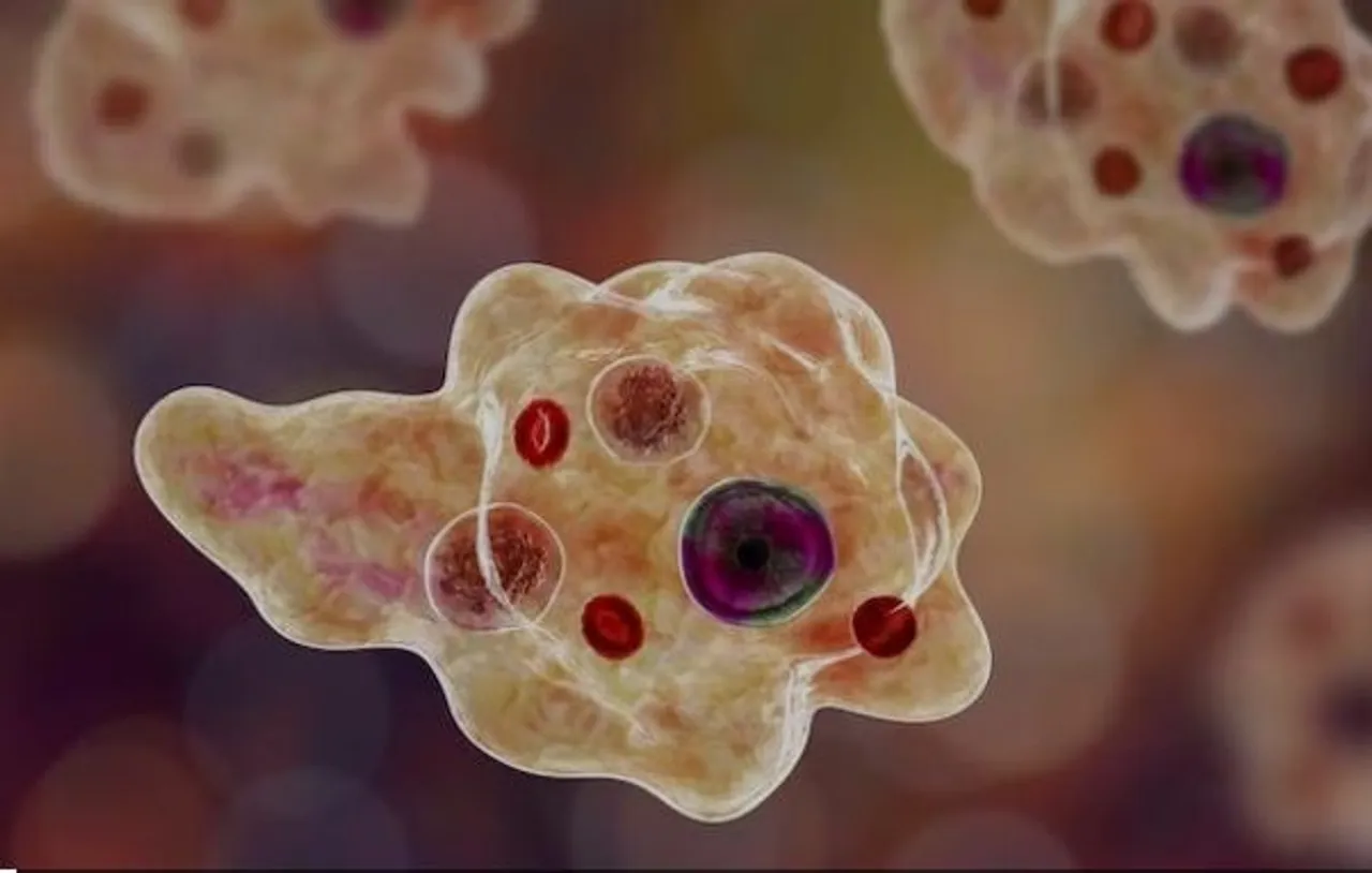 amoebicc