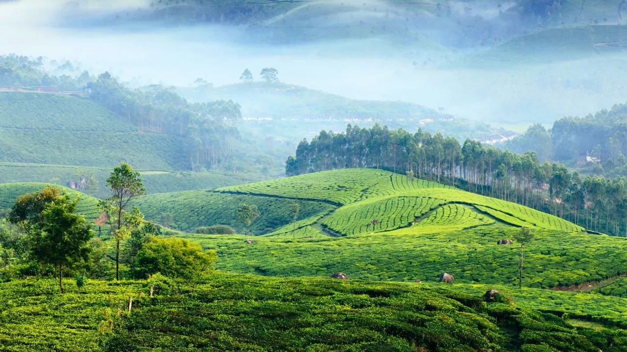 munnar
