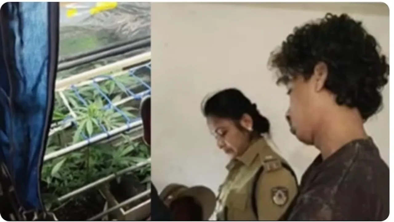 0f226b55-3c4e-4e4e-8d13-c42ae7f79d61