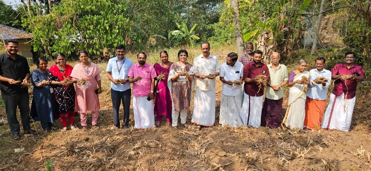 WhatsApp Image 2026-02-11 at 2.51.24 PM