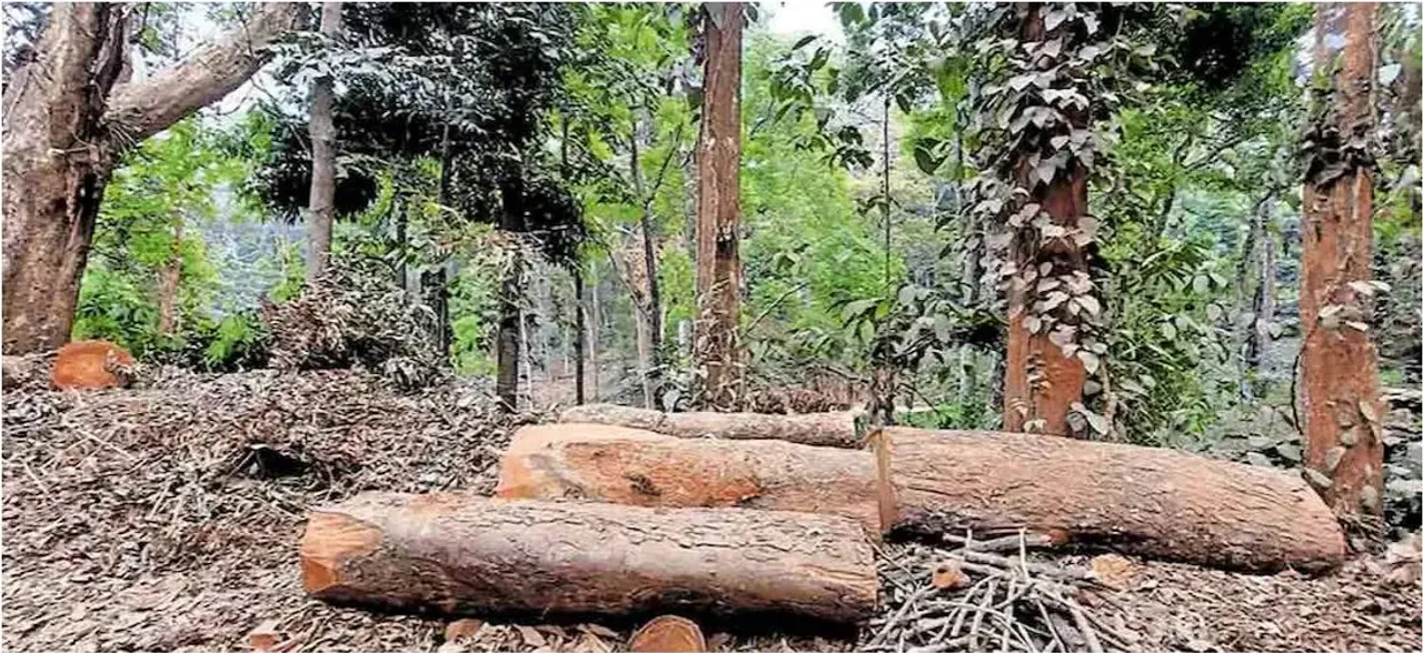 suganthagiri