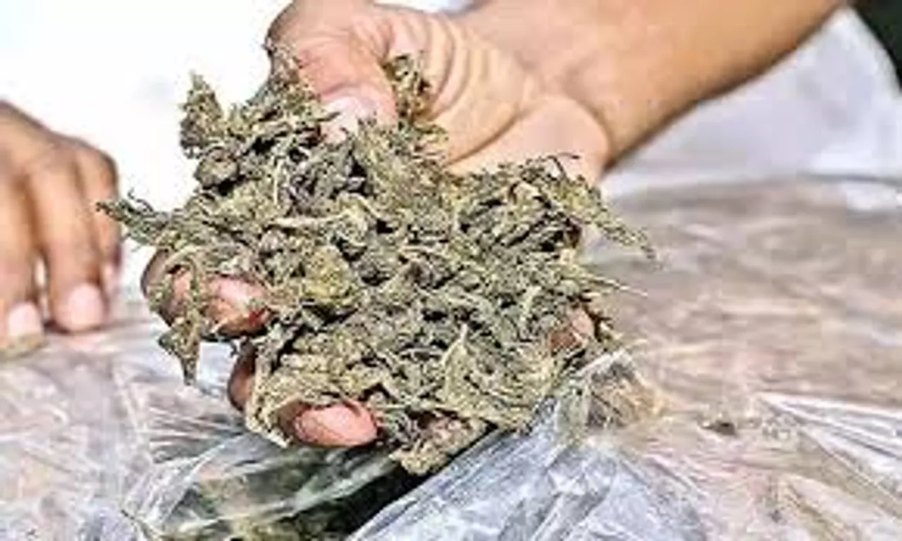 ganja new