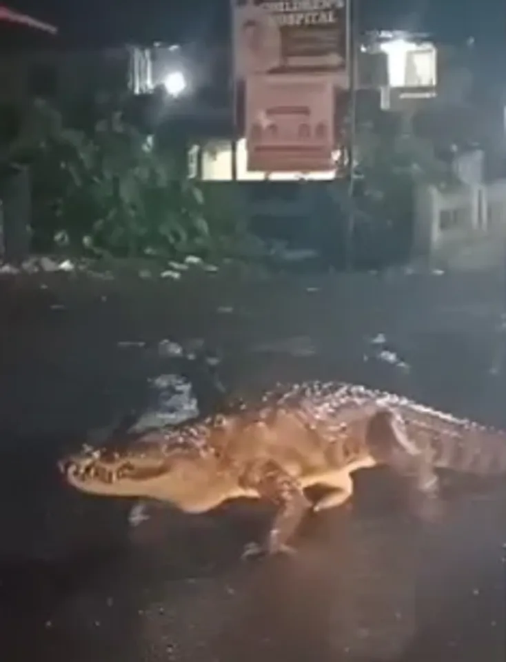 maharastra 
