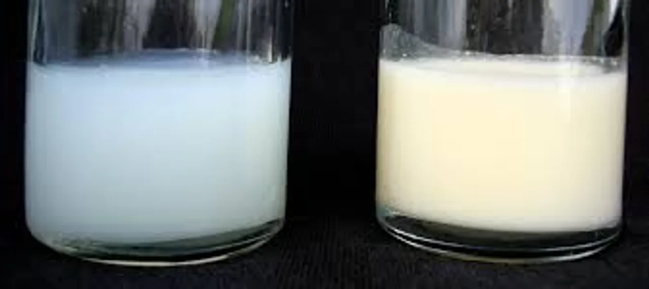 milk