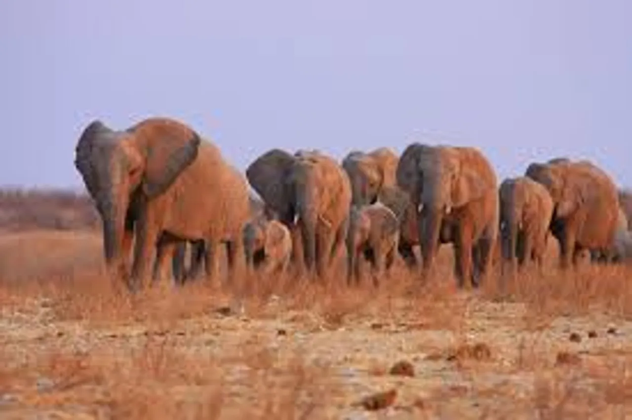 namibia