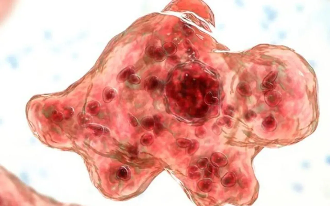 amoebic