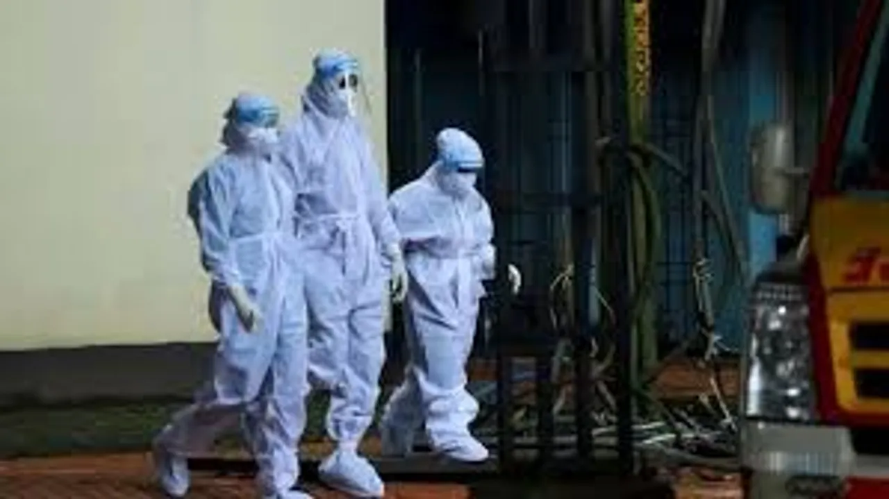 nipah virus