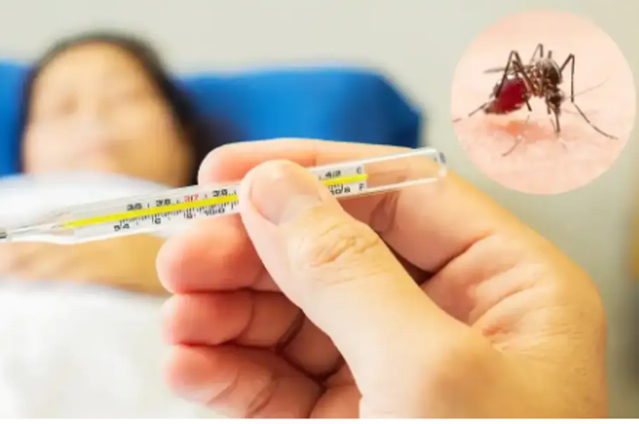 dengue