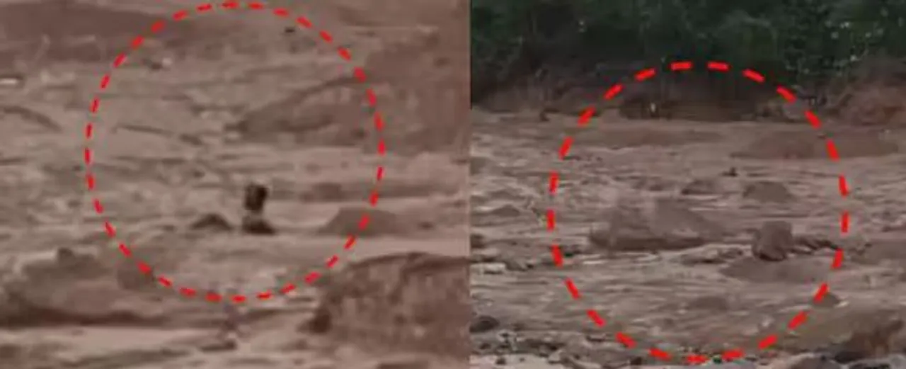 man stuck in mud
