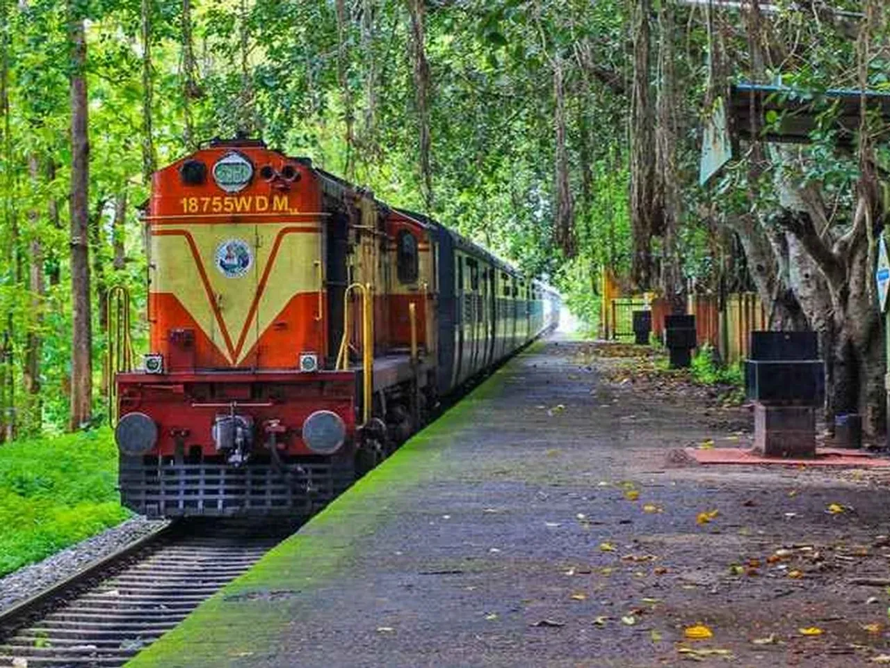train