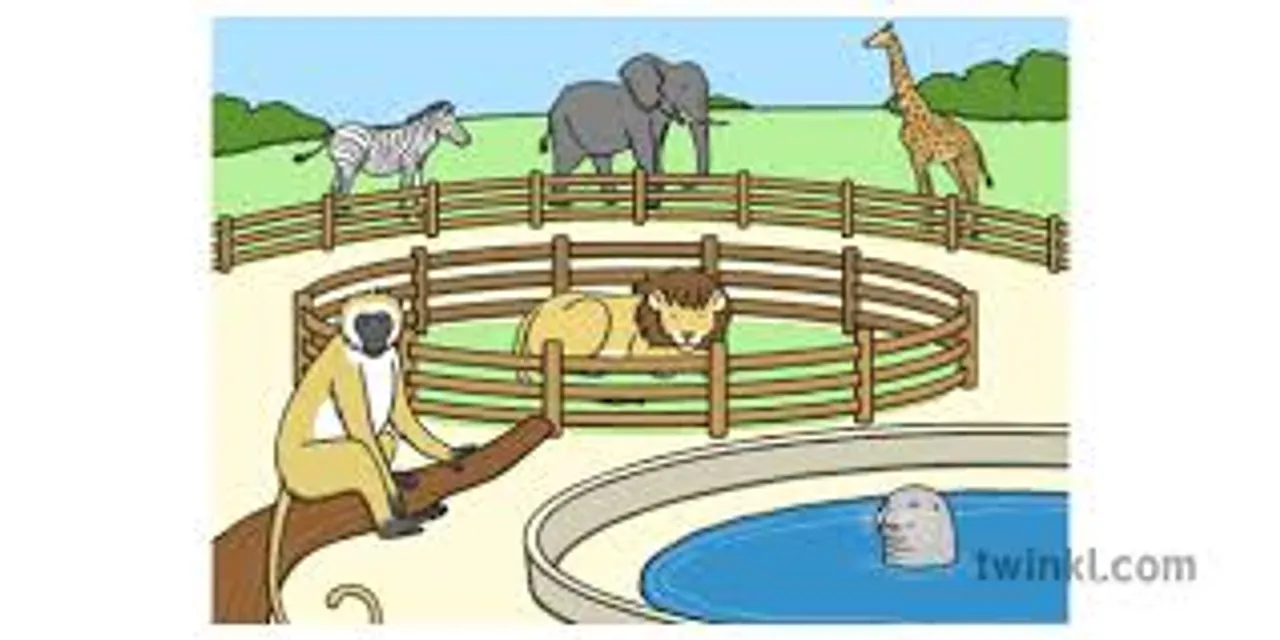 zoo