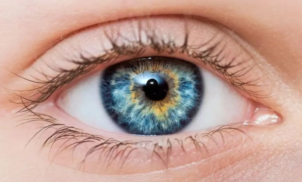 eyes