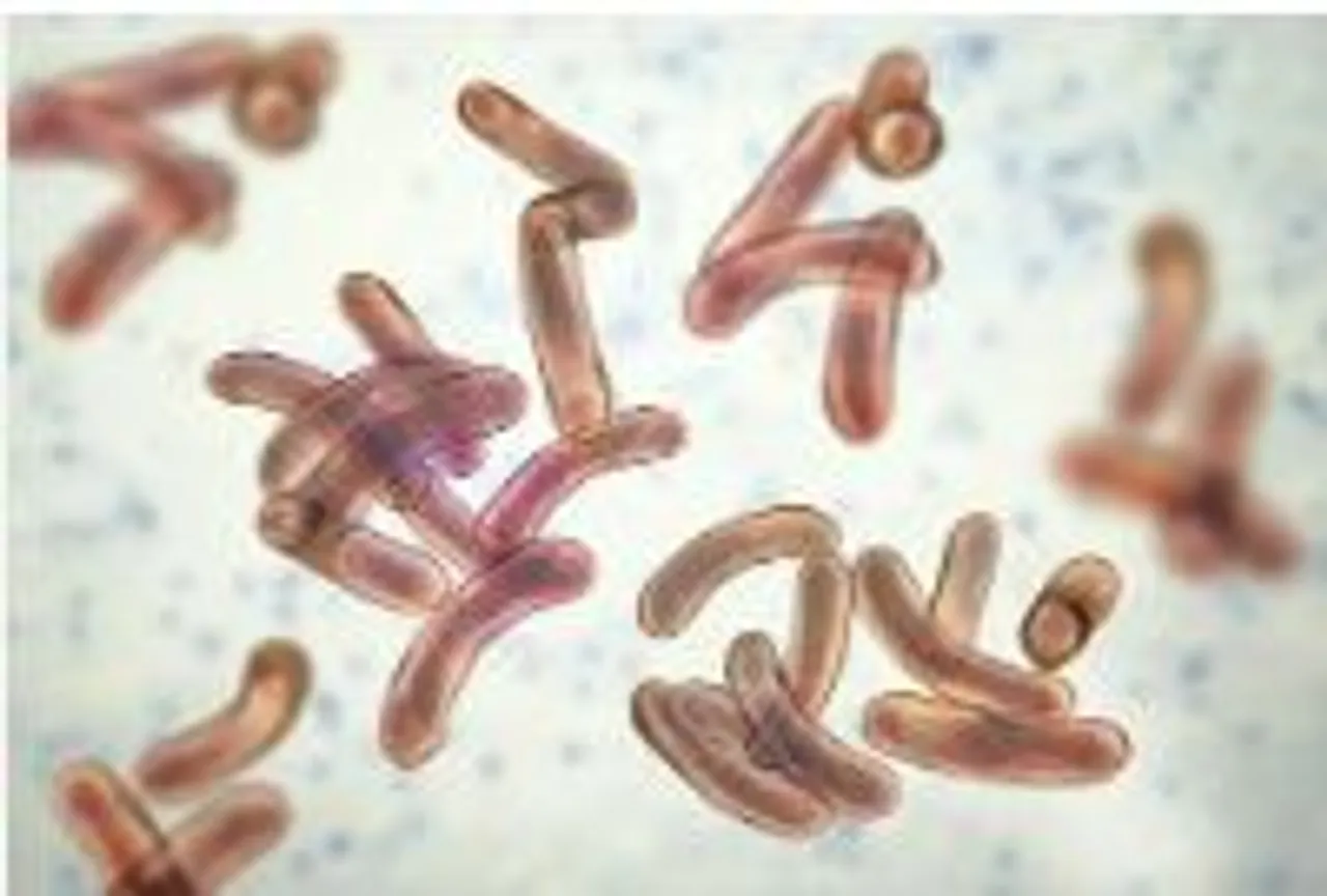 cholera