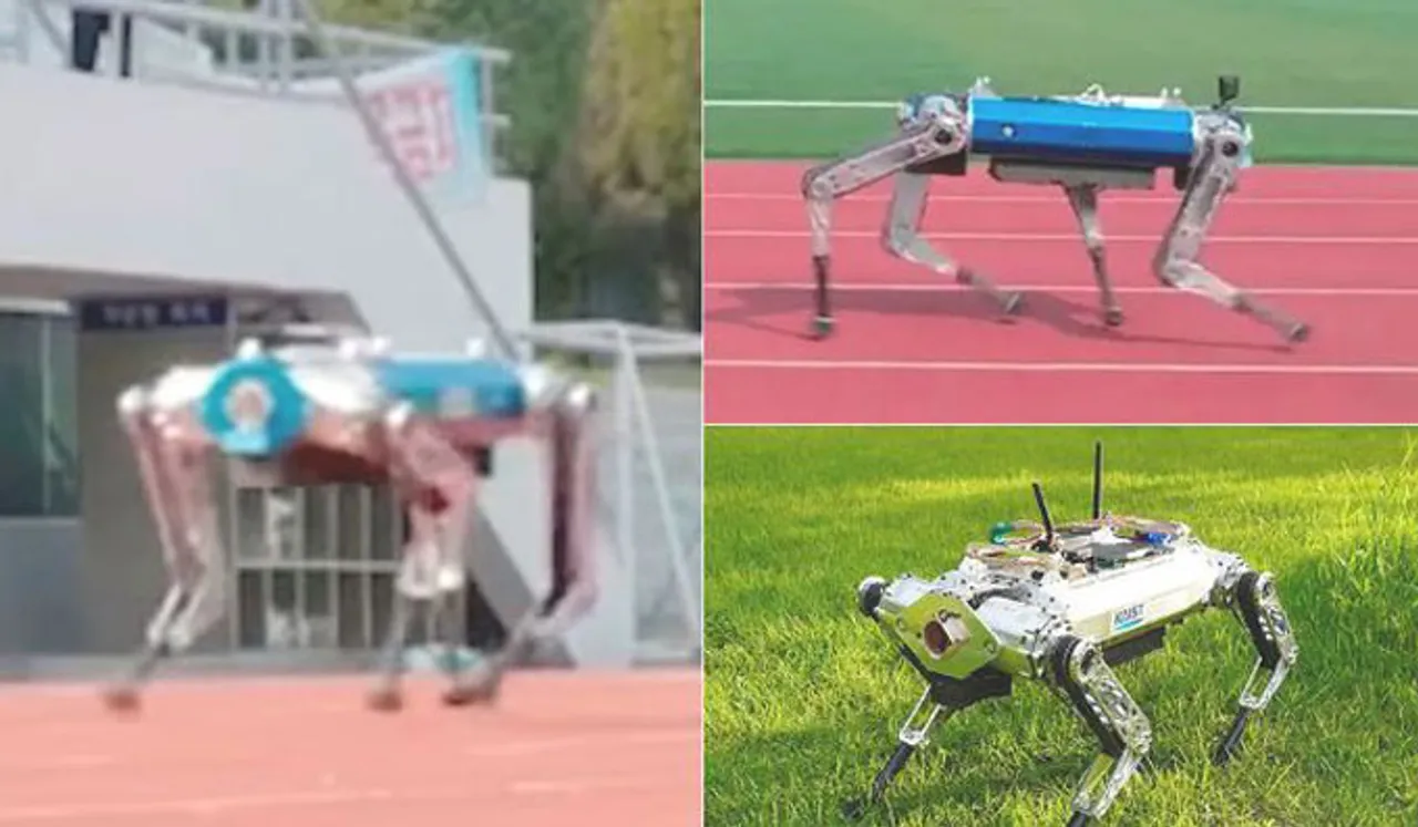 19.87 സെക്കൻഡിൽ 100 മീറ്റർ; ഗിന്നസ് വേൾഡ് റെക്കോർഡ് സ്വന്തമാക്കി 'ഹൗണ്ട്' എന്ന റോബോട്ട് നായ!
