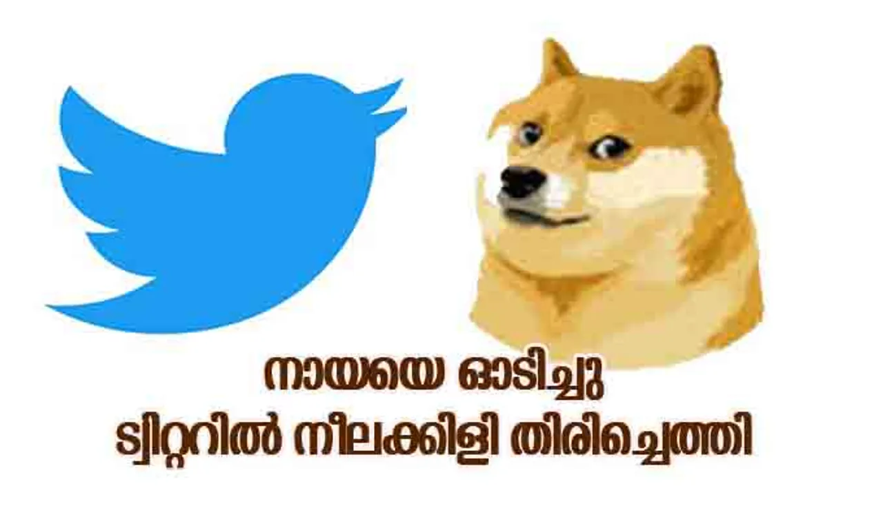നായയെ ഓടിച്ചു, ട്വിറ്ററില്‍ നീലക്കിളി തിരിച്ചെത്തി