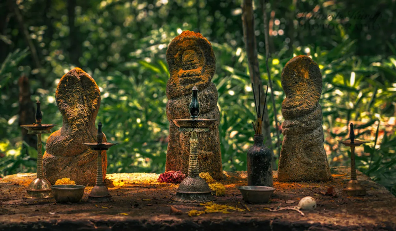 നാഗശാപം നീക്കുന്നതിന് ആയില്യം വ്രതം 
