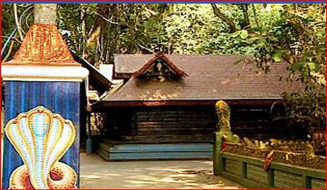 വെട്ടിക്കോട് ആദിമൂലം ശ്രീ നാഗരാജസ്വാമി ക്ഷേത്രം വിശേഷങ്ങള്‍ 