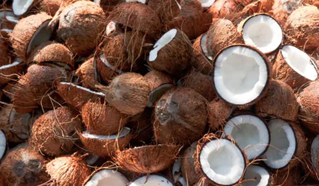 കാര്‍ഷിക മേഖലയെ തളര്‍ത്തി നാളികേരോത്പന്നങ്ങളുടെ വിലത്തകര്‍ച്ച