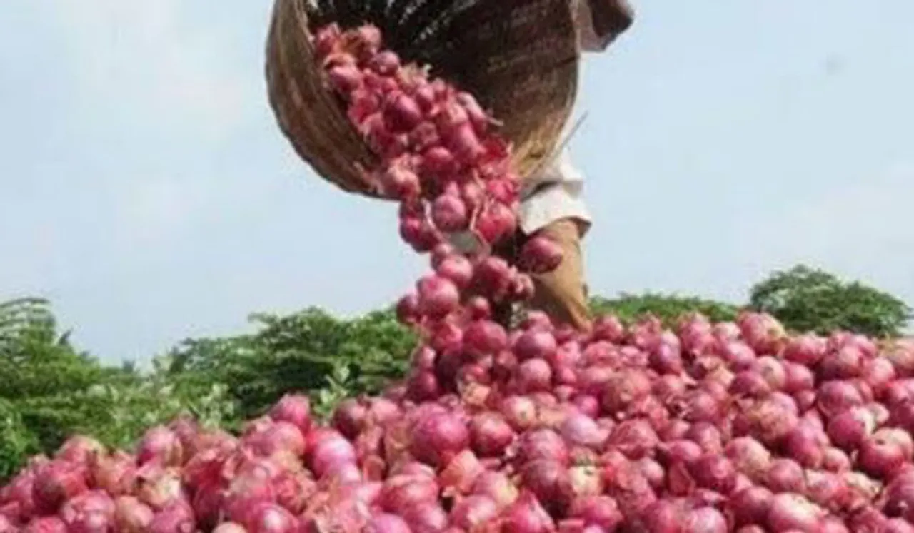 വീണ്ടും 'താര'മായി ഉള്ളി; കയറുമതി നിരോധിച്ചു