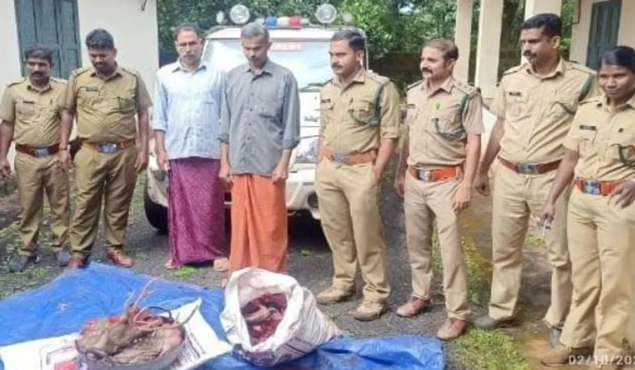 മാനന്തവാടിയില്‍ മാനിനെ കൊന്ന് കറിവയ്ക്കാന്‍ ശ്രമം; രണ്ടു പേര്‍ പിടിയില്‍