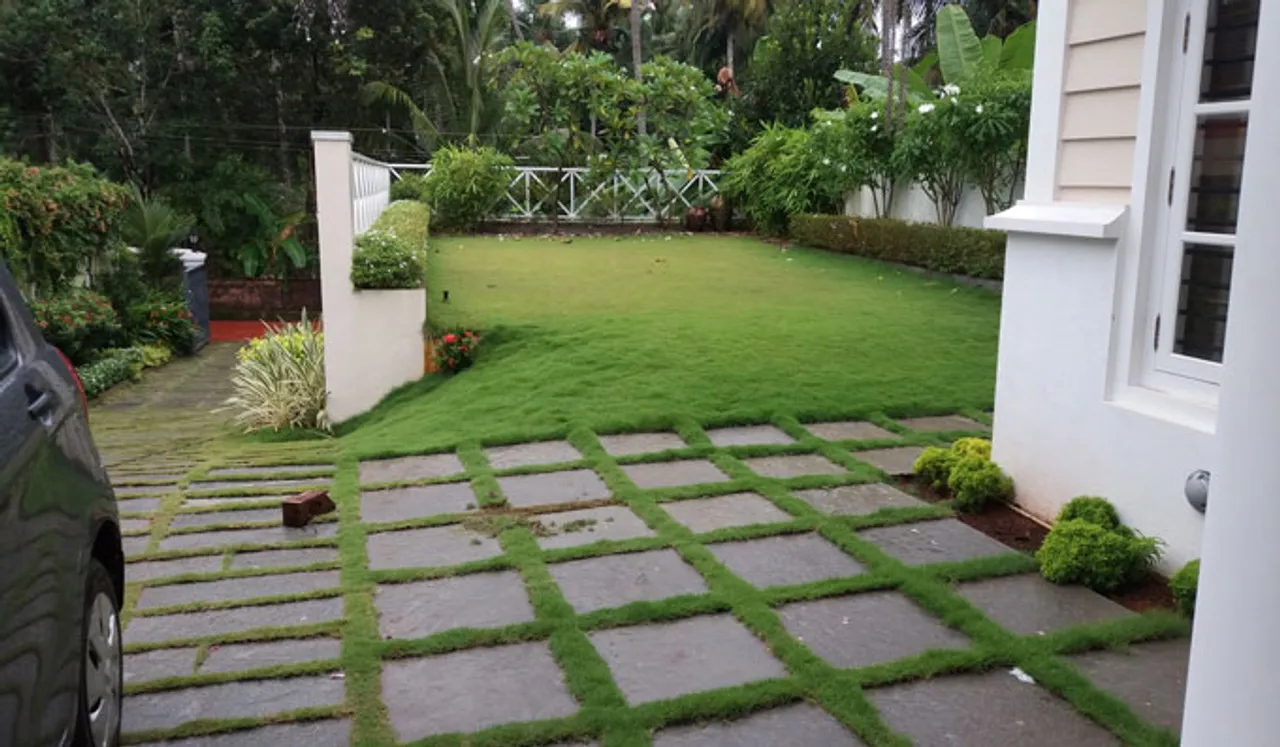  വീട്ടിലൊരുക്കാം കിടിലന്‍ ഗ്രീനറി