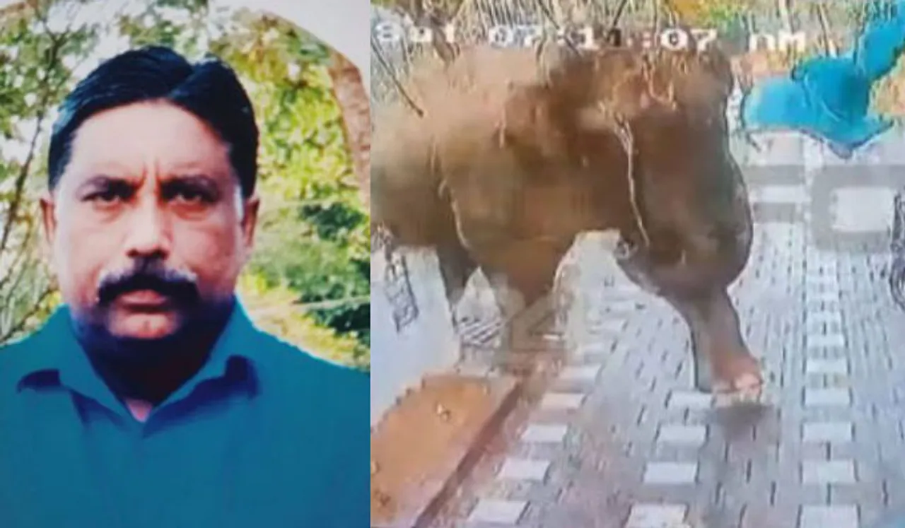 വയനാട്ടിൽ റേഡിയോ കോളർ ഘടിപ്പിച്ച മോഴയാനയുടെ ആക്രമണം; ഒരാൾക്ക് ദാരുണാന്ത്യം, നിരോധനാജ്ഞ