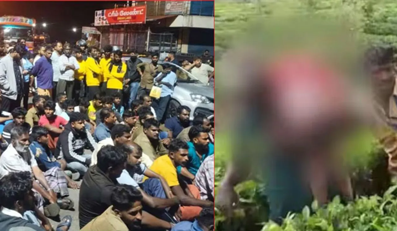 പന്തല്ലൂരിൽ മൂന്നു വയസുകാരിയെ കടിച്ചുകൊന്ന പുലി പിടിയിലായി; വെടിവച്ച് കൊല്ലണമെന്ന് നാട്ടുകാർ
