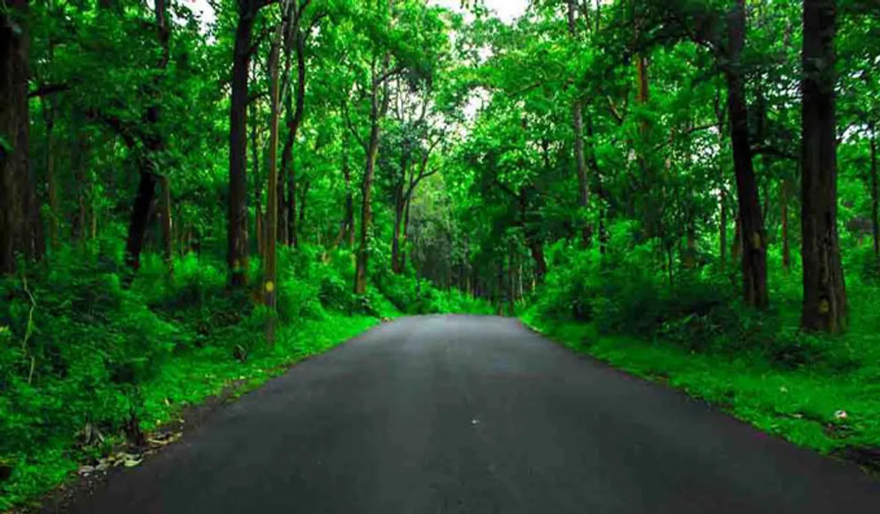 അഗളിയില്‍ പൊലീസ് സംഘം വഴി തെറ്റി വനത്തിനുള്ളില്‍ അകപ്പെട്ടു