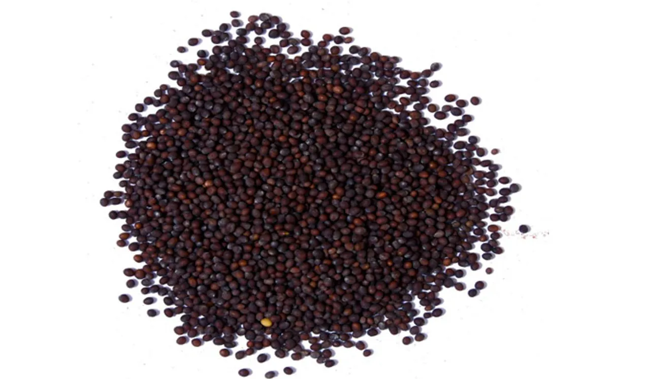 കടുകും വിശ്വാസവും 