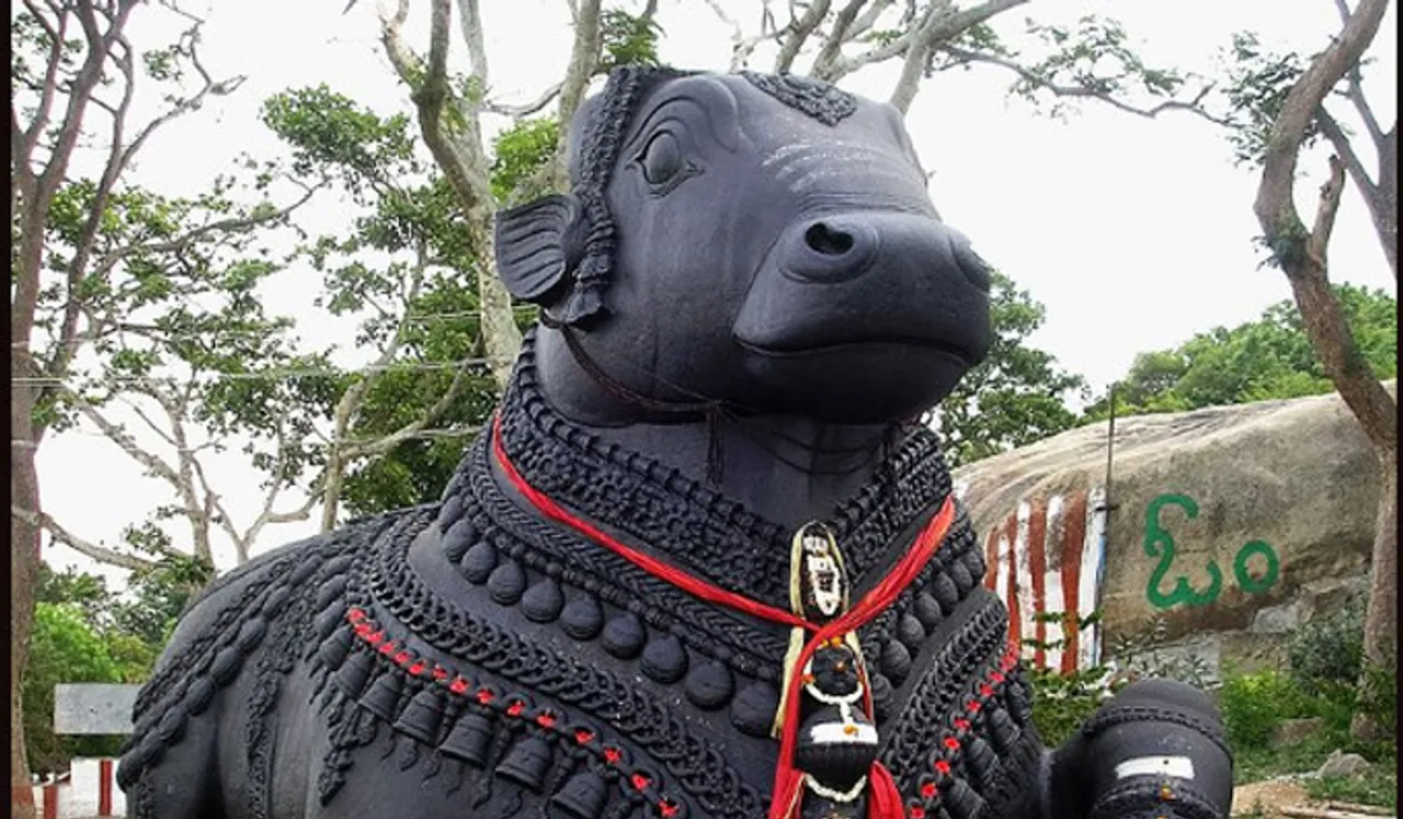 നന്ദിയുടെ കാതില്‍ സങ്കടം പറയാമോ.?