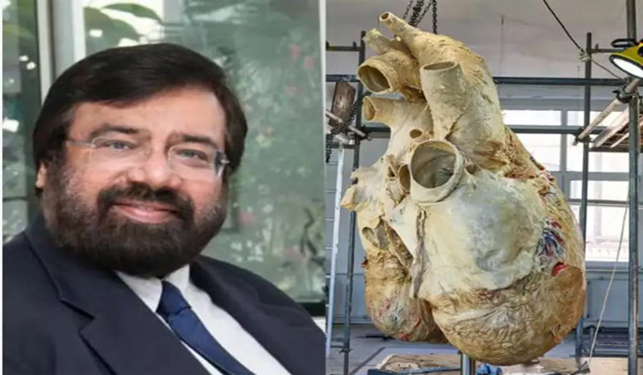 181 കിലോഗ്രാം ഭാരം ഒന്നര മീറ്റര്‍ ഉയരം, വൈറലായി നീലത്തിമിംഗലത്തിന്റെ ഹൃദയം