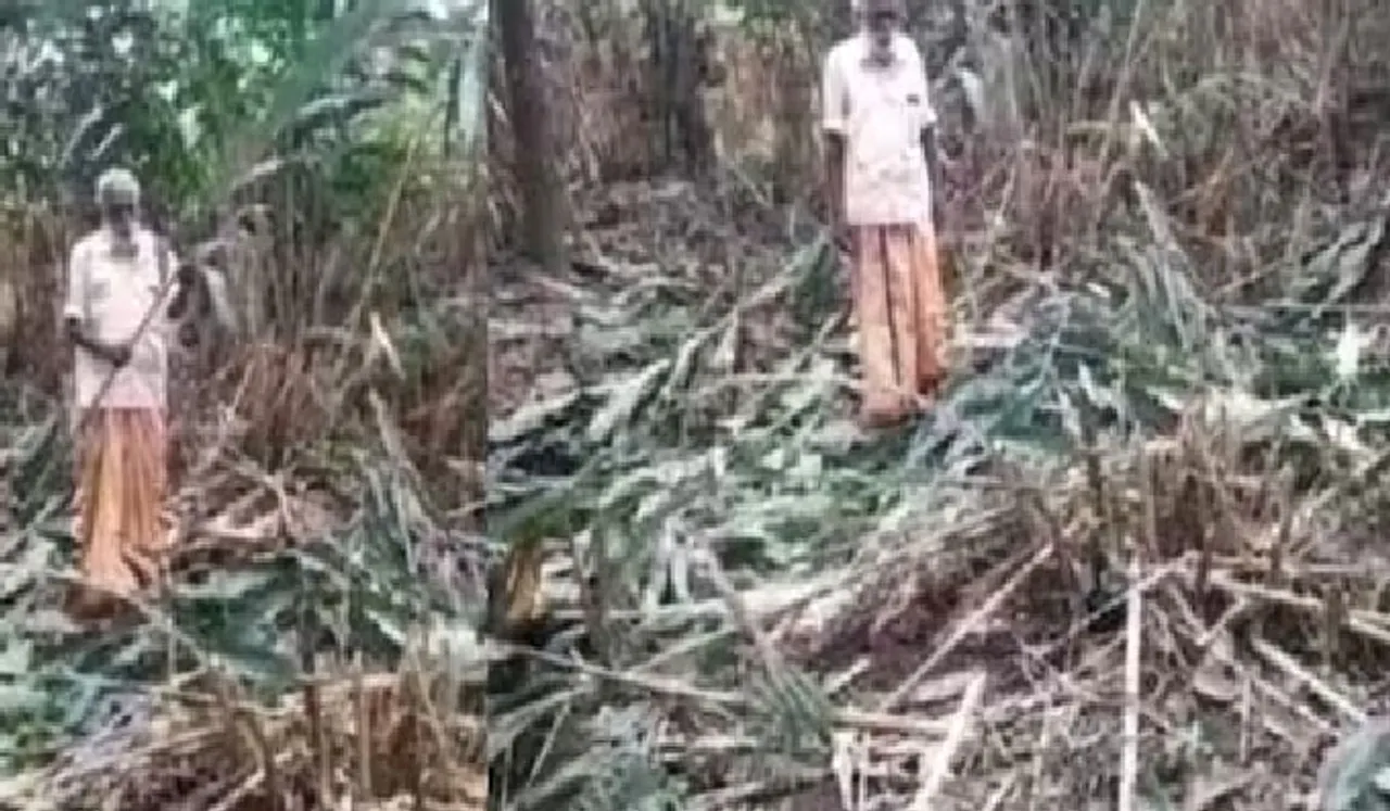 ആദിവാസി കര്‍ഷകന്റെ ഒന്നരയേക്കര്‍ കൃഷി വെട്ടി നശിപ്പിച്ചു