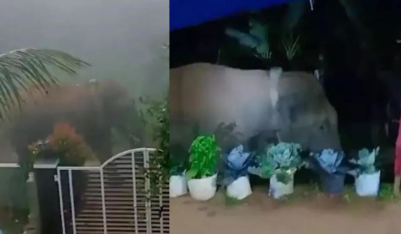 മാനന്തവാടി ന​ഗരത്തിൽ കാട്ടാനയിറങ്ങി; പ്രദേശത്ത് നിരോധനാജ്ഞ പ്രഖ്യാപിച്ചു