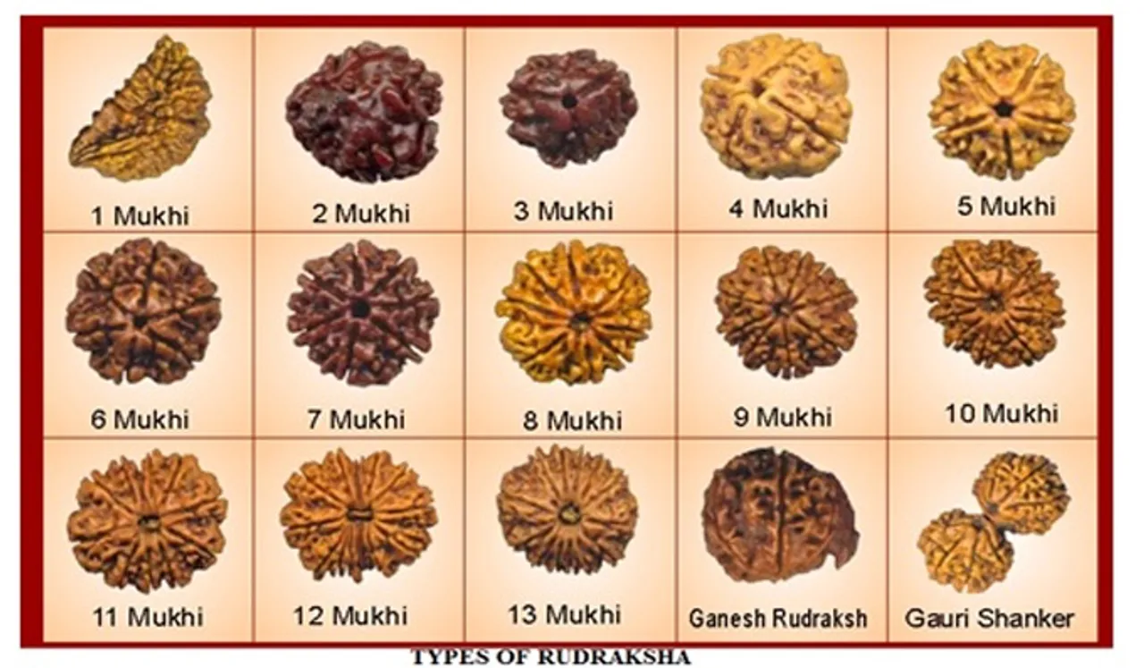 ദര്‍ശനേ പുണ്യം സ്പര്‍ശനേ