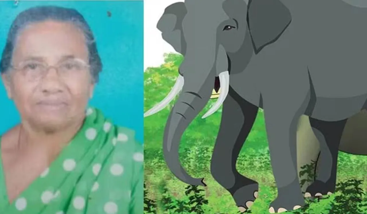 മന്ത്രി വരട്ടെ; കാട്ടാന ആക്രമണത്തില്‍ കൊല്ലപ്പെട്ട വയോധികയുടെ മൃതദേഹവുമായി പ്രതിഷേധം
