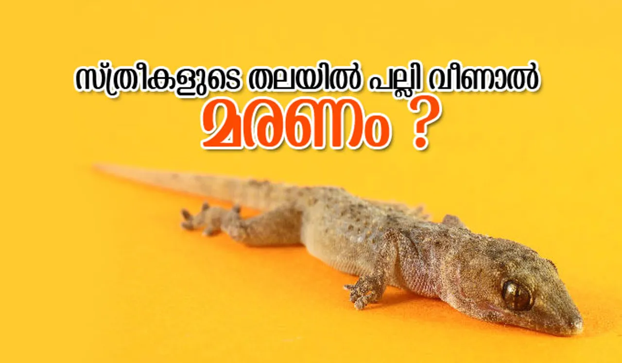 സ്ത്രീകളുടെ തലയില്‍ പല്ലി വീണാല്‍ മരണം ?