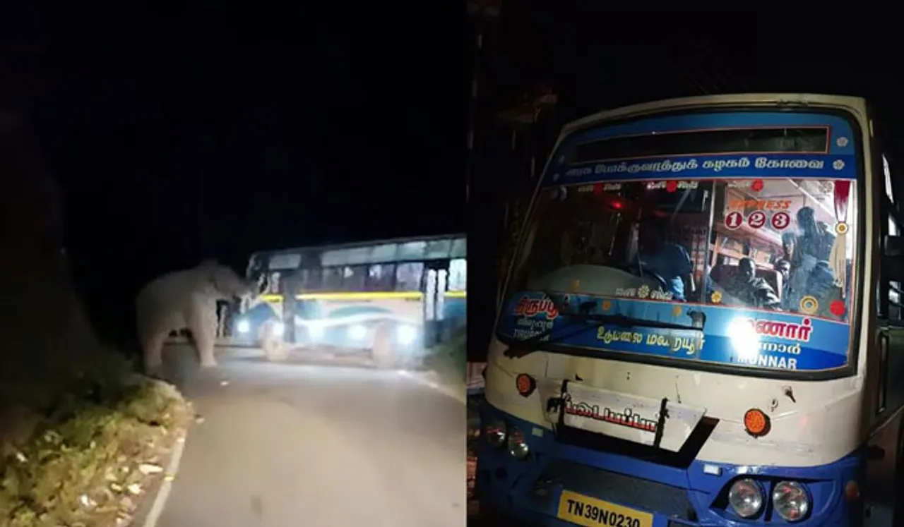 മൂന്നാറിൽ വീണ്ടും പടയപ്പ; ഉടുമൽപ്പേട്ട് അന്തർ സംസ്ഥാന പാതയിൽ ബസിന് നേരെ ആക്രമണം