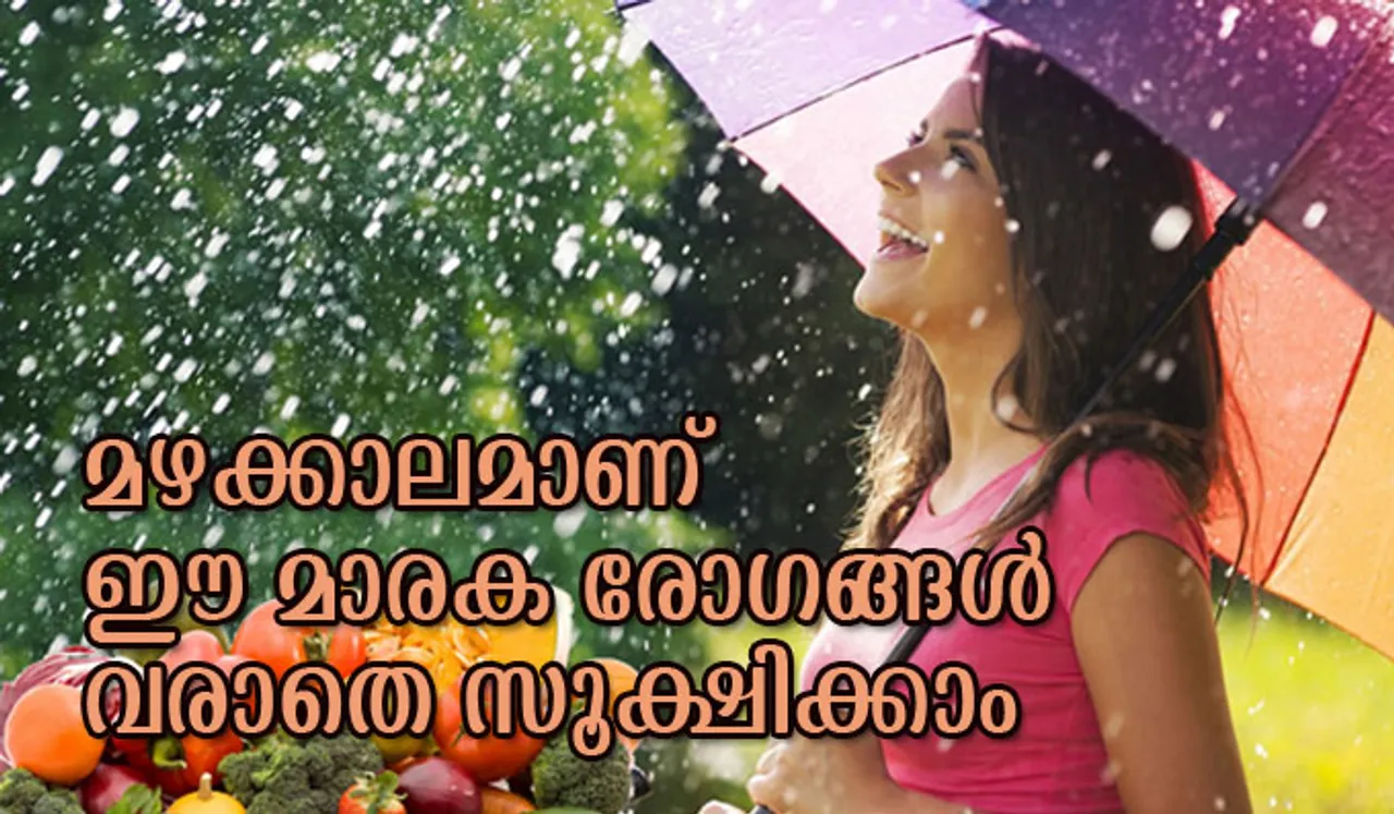 മഴക്കാലമാണ്, ഈ മാരക രോഗങ്ങള്‍ വരാതെ സൂക്ഷിക്കാം